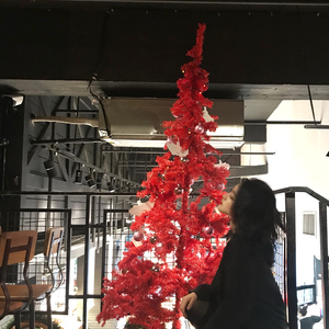 鳝鱼门原版视频
